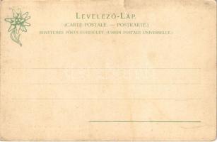 Tátra, Magas-Tátra, Vysoké Tatry; Szepes, Parasztcsalád a Kárpátok alatt, Ferenc József-csúcs. Feitz...