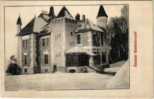 Mezőlaborc, Medzilaborce; Lovag Skoda kastély télen. Schönfeld Sámuel kiadása / castle in winter (EK)