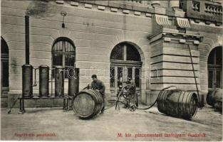 Budapest XXII. Budafok, M. kir. pincemesteri tanfolyam, Bourdil-féle pasztőröző. Hollenzer és Okos budai műterméből