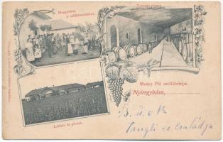 1899 (Vorläufer) Nyíregyháza, Mezey Pál szőlőtelepe, mozgósítás a szőlőszedéshez, lakház és pince, bortartó pince. Hunyady László fényképész kiadása. Art Nouveau, floral (EK)