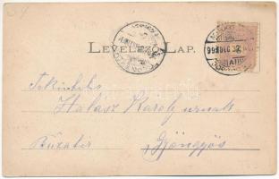 1899 (Vorläufer) Nyíregyháza, Mezey Pál szőlőtelepe, mozgósítás a szőlőszedéshez, lakház és pince, b...