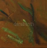 Kastaly István (1892-1991): Egri nő. Olaj, vászon, jelezve balra lent, 50x40 cm