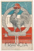 Liberté, Égalité, Fraternité / &#039;Liberty, equality, fraternity&#039; WWI French propaganda, coat of arms, flag . U. Palchetti