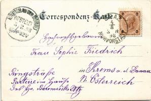 1898 (Vorläufer) Graz, Hilmteich am Nacht / lake at night (EK)