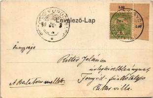 1905 Diósgyőr (Miskolc), várrom. Lövy József Fia (László Adolf) kiadása (EK)