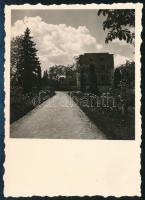 cca 1935-1940 Kolozsvár, botanikus kert, fotó, 8,5×6,5 cm / Cluj, Gradina Botanica, photo
