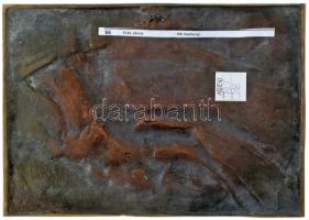 Fritz János (1947-) DN "Nő madárral" bronz falra akasztható plakett (208x293mm) T:UNC / Hu...