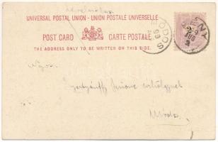 1899 (Vorläufer) Adelaide, street view, coat of arms. 7 d. Atla No. III. E. 1. (creases)