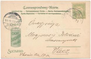 1903 Opava, Troppau; Schlesien, Cacao Suchard / general view, cacao advertisment, folklore, coat of ...