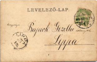 1905 Temesvár, Timisoara; Gizella árvaház. Uhrmann Henrik kiadása / orphanage. photo (EK)