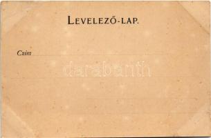 Bisztra, Bistra; Alsó telep. J. Hintz kiadása / Untere Colonie / Colonia din jos / lower colony