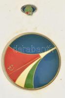 1980. "Interkozmosz" 7xklf műgyantás jelvény és 1db műgyantás bronz emlékérem (80mm) az 19...