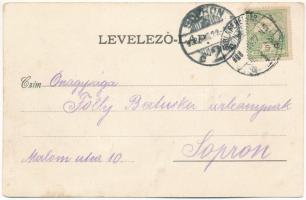 1908 Zalatna, Zlatna; Piac tér, Kovács Károly és Dengel F. üzlete. Nagy Árpád kiadása / square, shop...