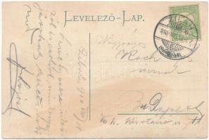 1910 Zilah, Zalau; Fő tér, Terge József üzlete. Molnár Lajos kiadása / main square, shops (fl)