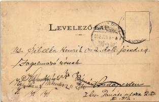 1902 Losonc, Lucenec; Gácsi utca, lisztraktár, üzletek. Redlinger kiadása / street, shops (fl)