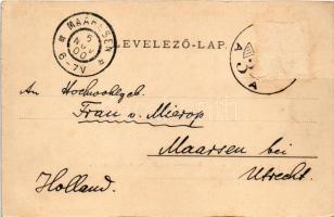 Kolozsvár, Cluj; Keleti rész a fellegvárról nézve. Kováts P. fiai kiadása / Eastern part from the hi...