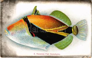 Hawaiian Fish Humuhumu (ragasztónyom / glue mark)