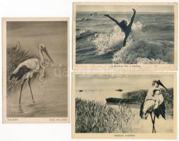 Balaton - 7 db régi képeslap vegyes minőségben (térképes, vízpart)