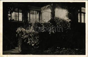 Balatonkenese, Esti felvétel a nagyszállóról. A Székesfővárosi Alkalmazottak Segítőalapja tulajdona (ragasztónyom / glue marks)