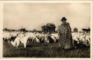 Hortobágy, Juhász a nyájával, magyar folklór