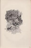 Bársony István: Magyar természeti és vadászati képek. Képekkel díszítette Neogrády Antal.
Budapest,...