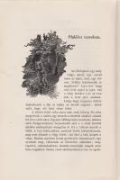 Bársony István: Magyar természeti és vadászati képek. Képekkel díszítette Neogrády Antal.
Budapest,...