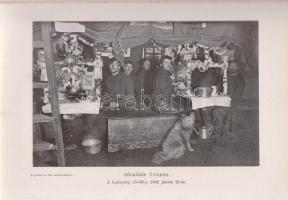 Scott, Robert F[alcon]: Angolok a déli sarkvidéken. Angolból átdolgozta Halász Gyula. 75 képpel, eze...