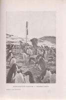 Scott, Robert F[alcon]: Angolok a déli sarkvidéken. Angolból átdolgozta Halász Gyula. 75 képpel, eze...