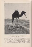Cholnoky Jenő: 
Afrika I-II. kötet. [Teljes.]
Budapest, [1930]. Lampel R. - Wodianer F. és Fiai (F...