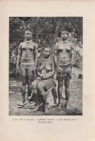 Cholnoky Jenő: 
Afrika I-II. kötet. [Teljes.]
Budapest, [1930]. Lampel R. - Wodianer F. és Fiai (F...