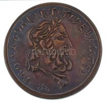 ifj. Szlávics László (1959- ) DN "Labor Műszeripari Művek / Pro labore et fidelitate" bronz emlékérem tokban (53mm) T:XF patina