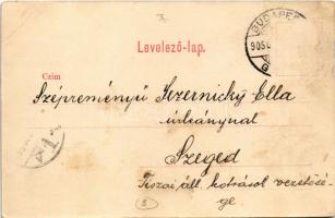 1905 Budapest I. Budai részlet, partszakasz a Margit híd előtt (EB)