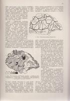 Sós József:
Magyar néptáplálkozástan.
Budapest, [1943] 1942. Magyar Orvosi Könyvkiadó Társulat - R...
