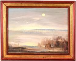 Vágfalvi Ottó (1925-2015) : Nádas széle. Olaj, farost, jelzett, keretben, 30×40 cm