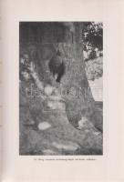 Baktay Ervin:
A boldog völgy országa. Barangolások Kasmírban.
Budapest, [1934]. Franklin-Társulat ...