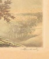 Paulovits Pál (1892-1975): Erdő. Színezett rézkarc, papír. Jelzett. Lap széle kissé foltos és szakad...