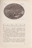 Huszár László:
,,Kwaheri'', ,,Viszontlátásra" Afrikai vadásznaplójából írta báró Hus...