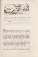 Huszár László:
,,Kwaheri'', ,,Viszontlátásra" Afrikai vadásznaplójából írta báró Hus...