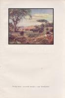 Huszár László:
,,Kwaheri'', ,,Viszontlátásra" Afrikai vadásznaplójából írta báró Hus...