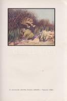 Huszár László:
,,Kwaheri'', ,,Viszontlátásra" Afrikai vadásznaplójából írta báró Hus...