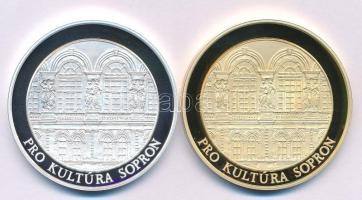 Sz. Egyed Emma (1935-) 2002. "Liszt Ferenc Konferencia és Kulturális Központ / Pro Kultúra Sopr...