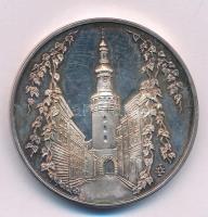 Sz. Egyed Emma (1935-) 1995. "A Soproni Sörgyár 100 éves" fém emlékérem (42,5mm) T:AU pati...