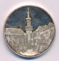 Sz. Egyed Emma (1935-) 1995. "Sopron" egyoldalas fém emlékérem (42,5mm) T:AU patina (eredetileg PP)