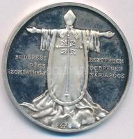 Kiss György (1943-2016) 1991. "II. János Pál pápa látogatása Magyarországon - Esztergom / Budapest, Pécs, Szombathely, Esztergom, Debrecen, Máriapócs" Ag emlékérem (31,12g/0.999/42,5mm) T:AU (PP) patina