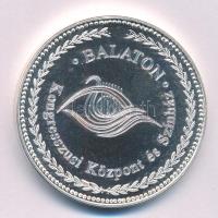 2002. "Balaton Kongresszusi Központ és Színház / Naptár 2002" fém emlékérem (42,5mm) T:PP