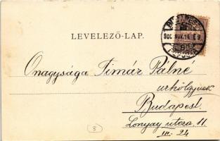 1900 Budapest II. Lukács és Császár fürdő, rakpart és útépítési munkák