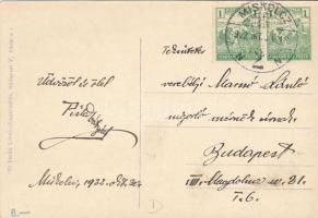 1922 Miskolc, Megyeháza. Vasúti levelezőlapárusítás 496