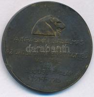 Osztrák-Magyar Monarchia 1915. "A Krasniki diadalmas csatában az oroszoktól elvett ágyúból verette az Auguszta-Alap" bronz emlékérem. Szign.: Murányi Gyula (29mm) T:XF patina