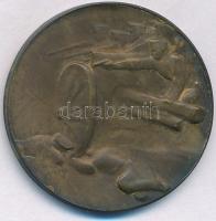 Osztrák-Magyar Monarchia 1915. "A Krasniki diadalmas csatában az oroszoktól elvett ágyúból vere...