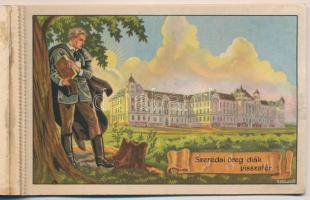 Erdély Örök Egyetlen Miénk! - 4 db régi erdélyi irredenta művészlap egy képeslapfüzetben Gebhardt és...